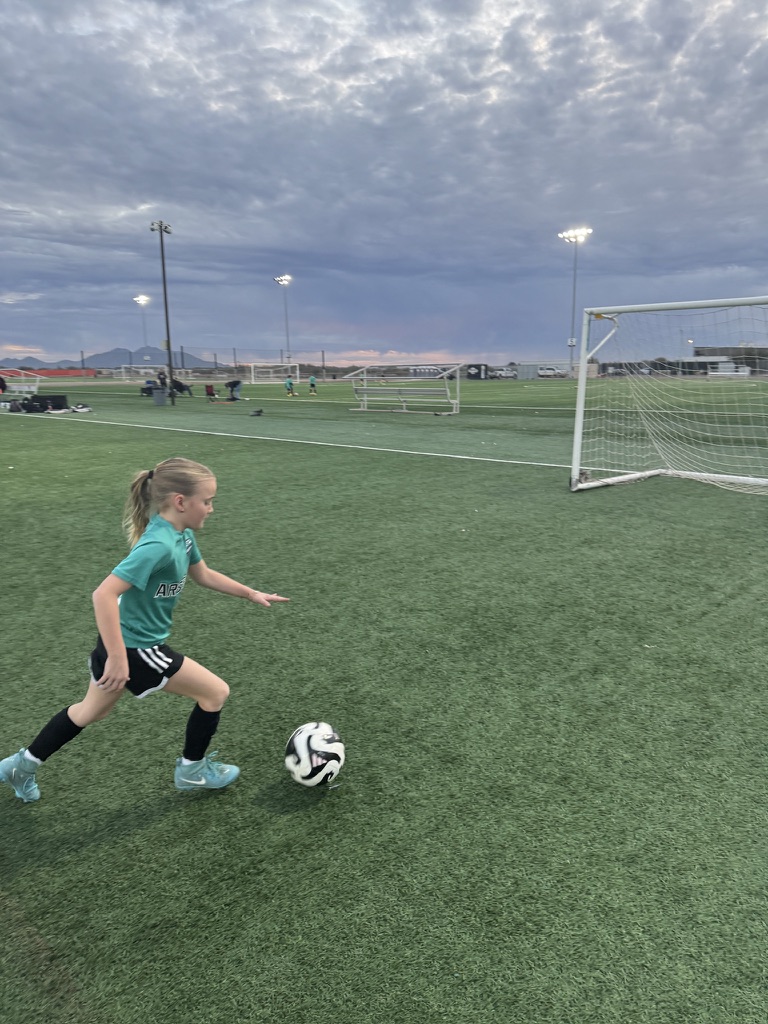 Private Training - Technical Skills