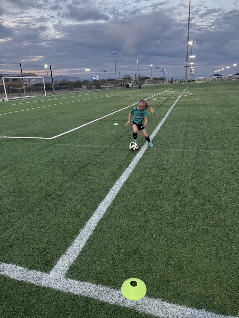 Private Training - Movement