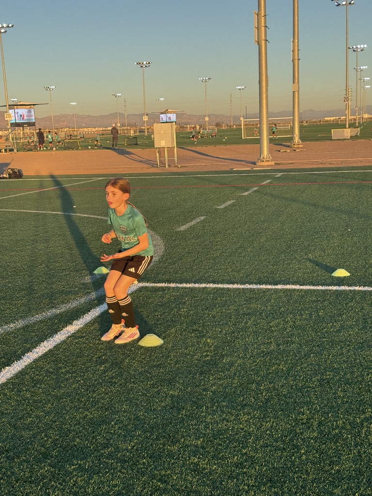 Personal Soccer Session