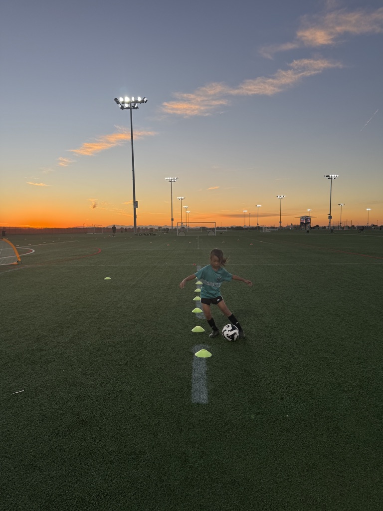 One-on-One Development Session