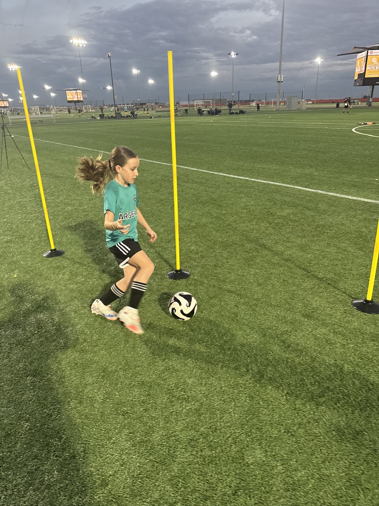 Private Soccer Training Action